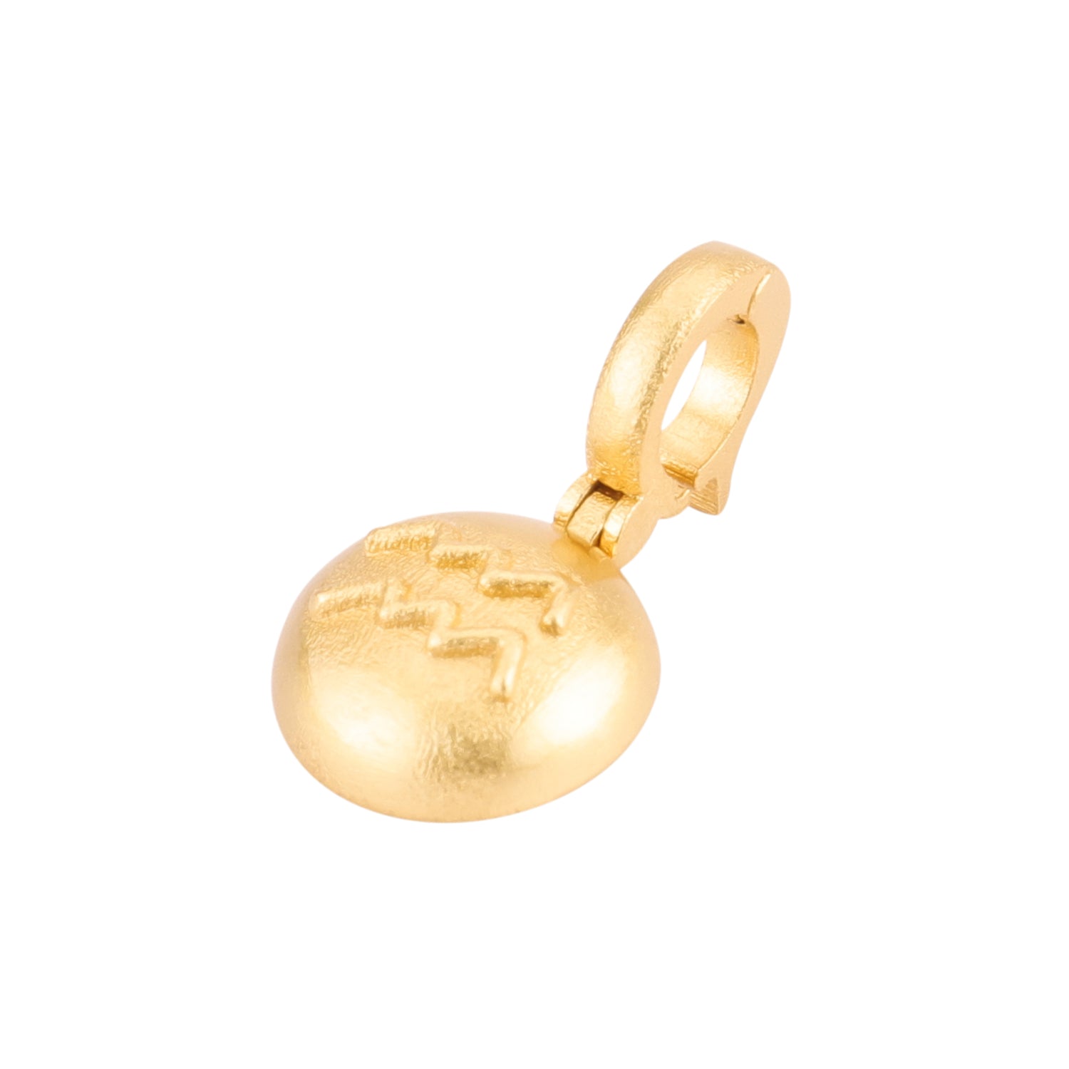 Aquarius Charm
