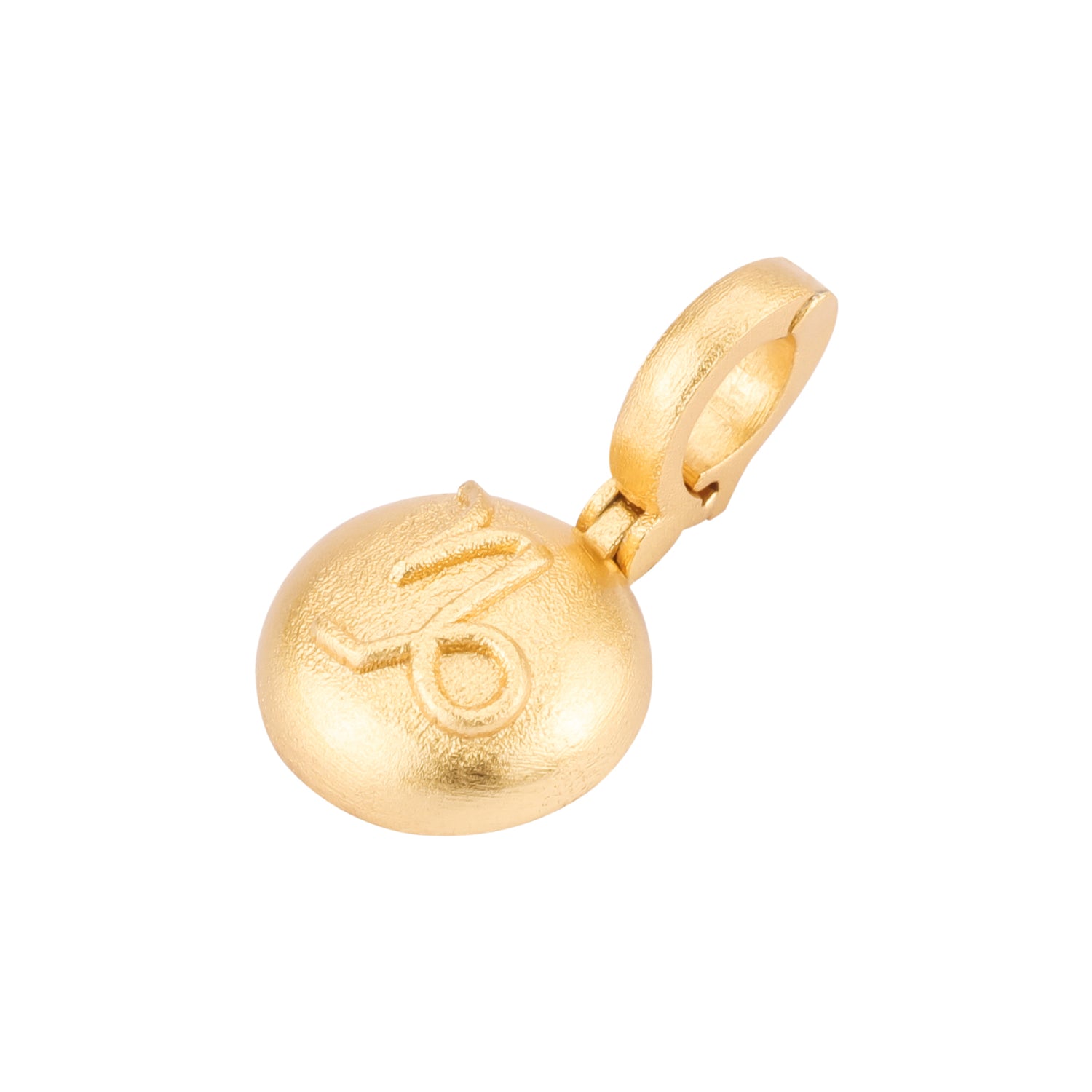 Capricorn Charm