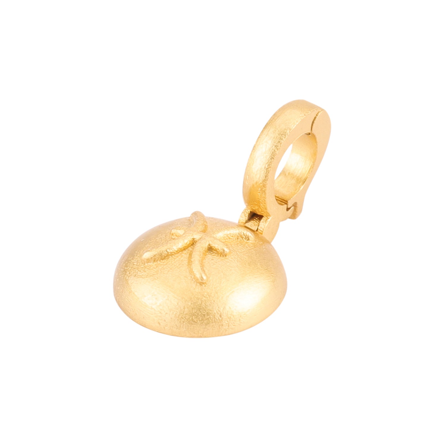 Pisces Charm