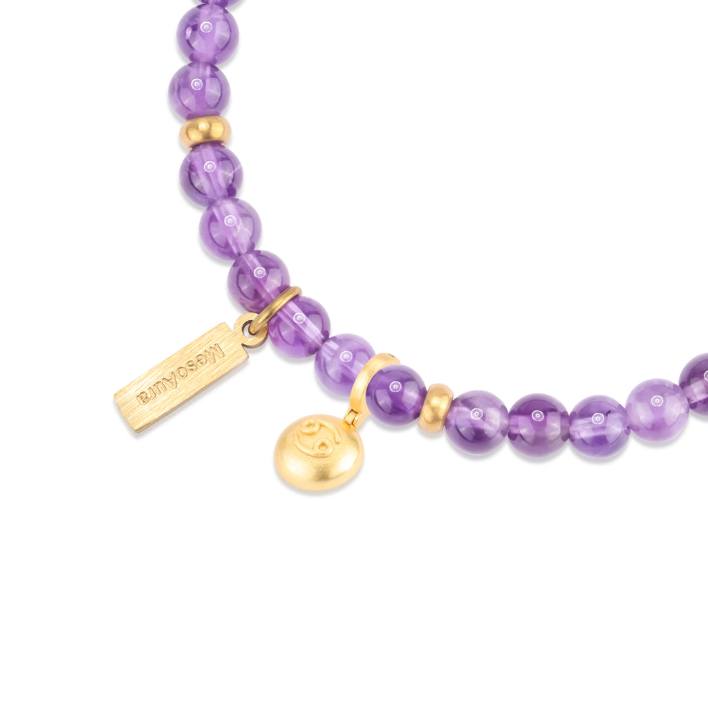 Starlit Guardian Amethyst Bracelet