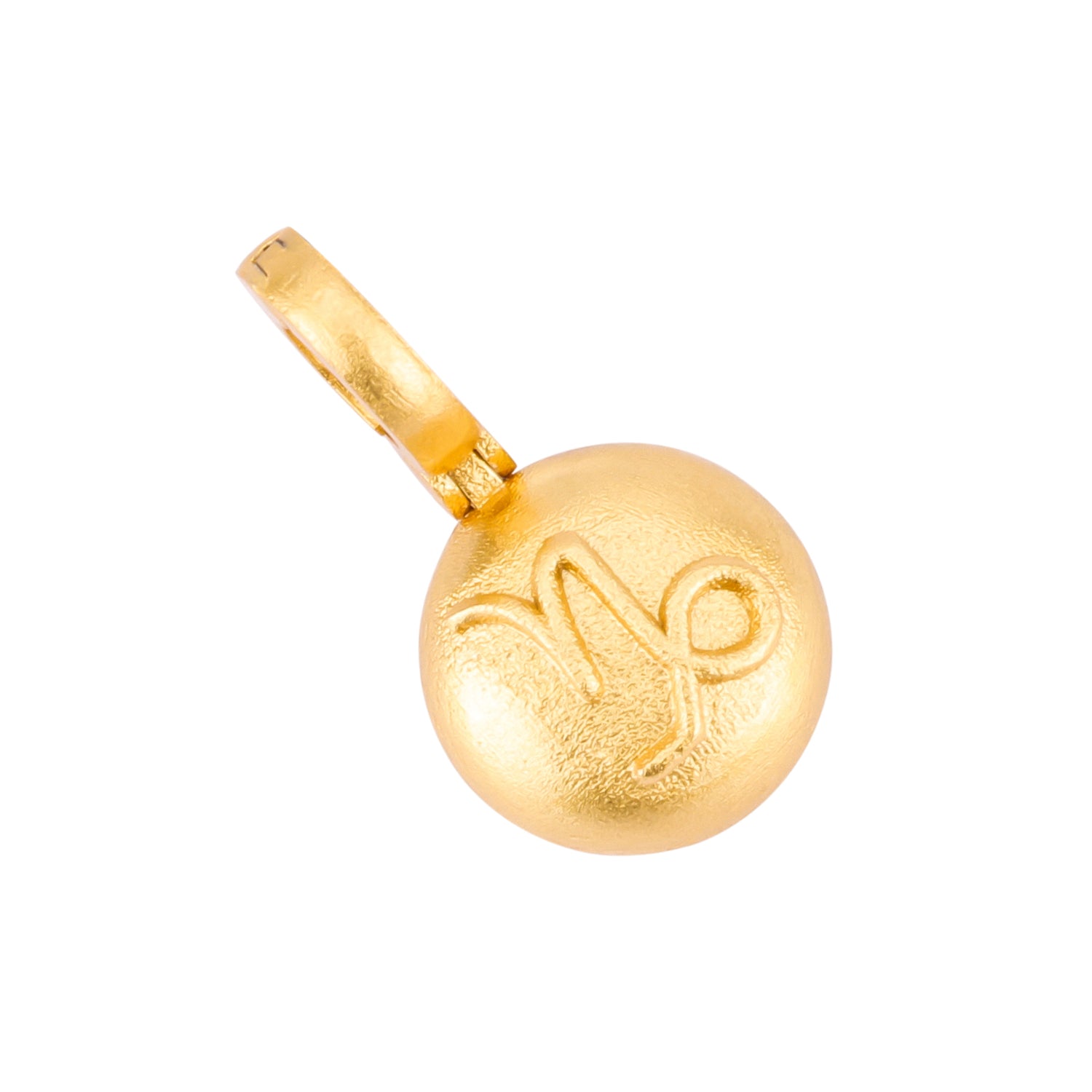 Capricorn Charm