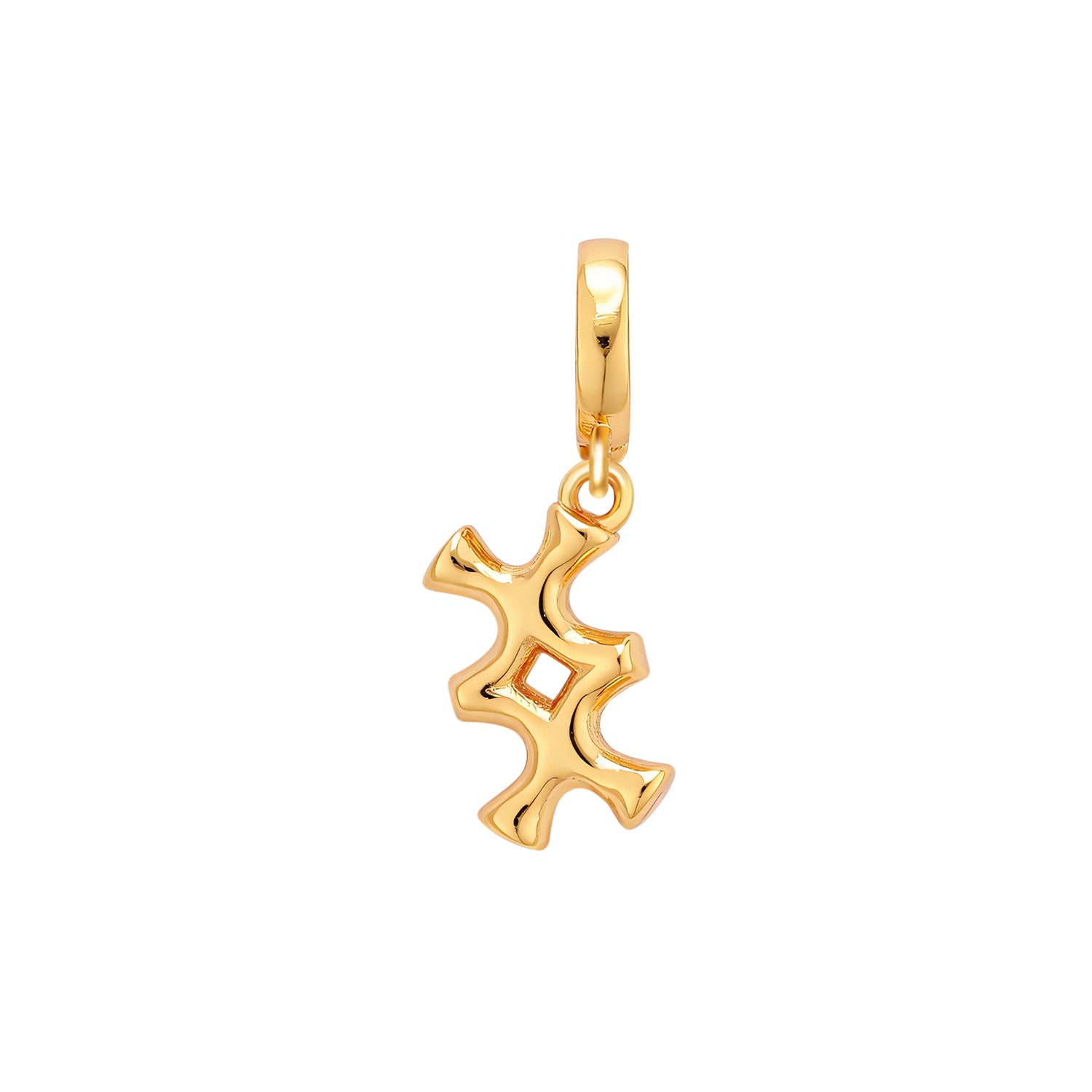 Inguz Runes Charm