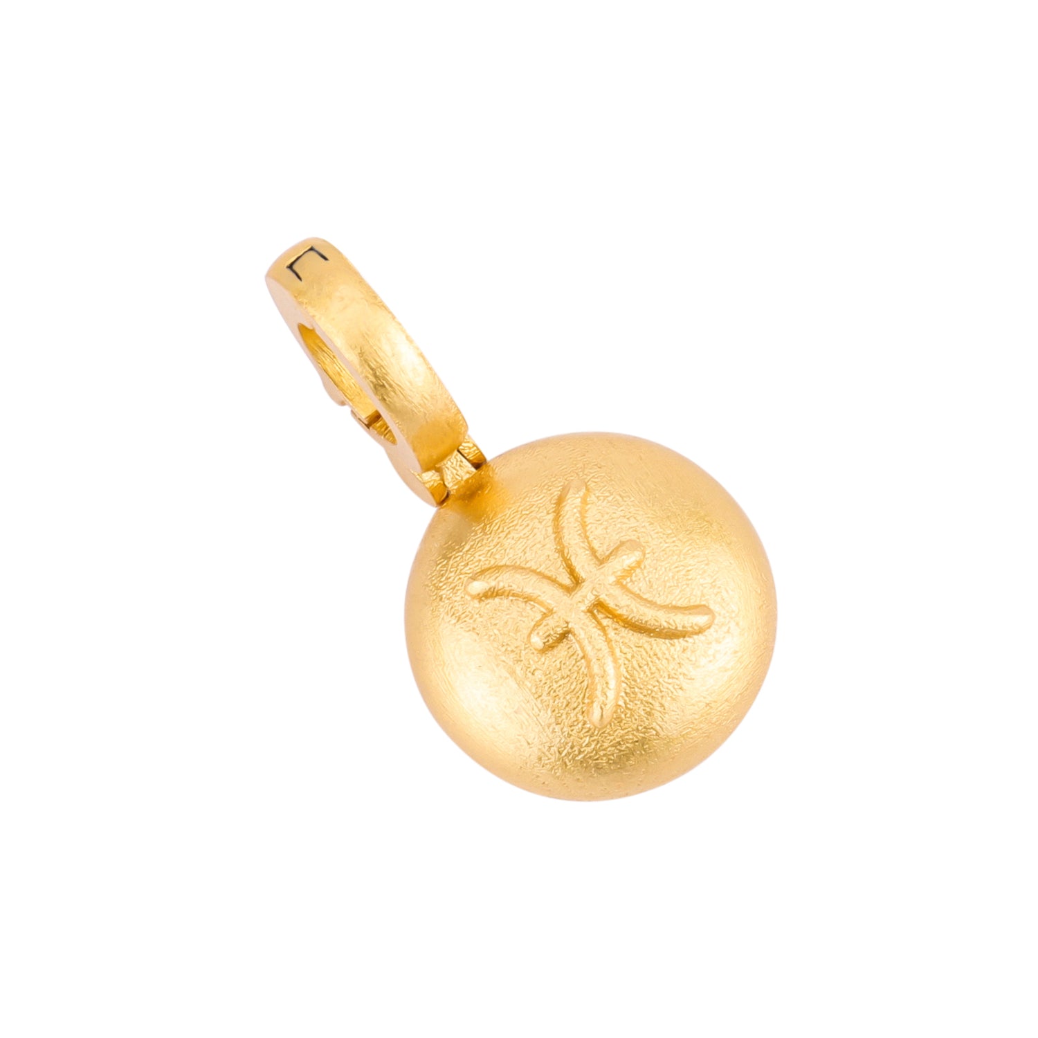 Pisces Charm
