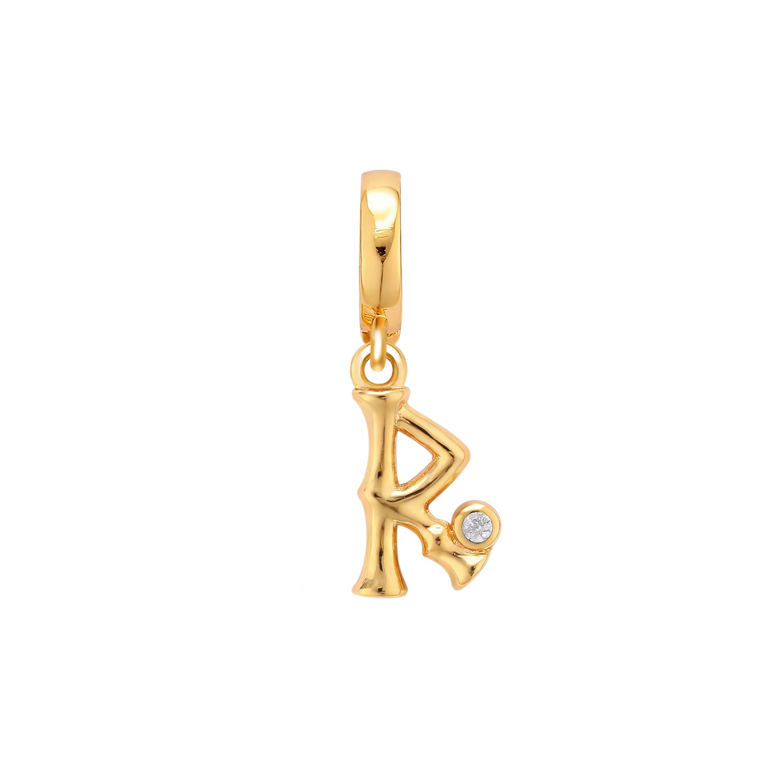 Raidho Runes Charm
