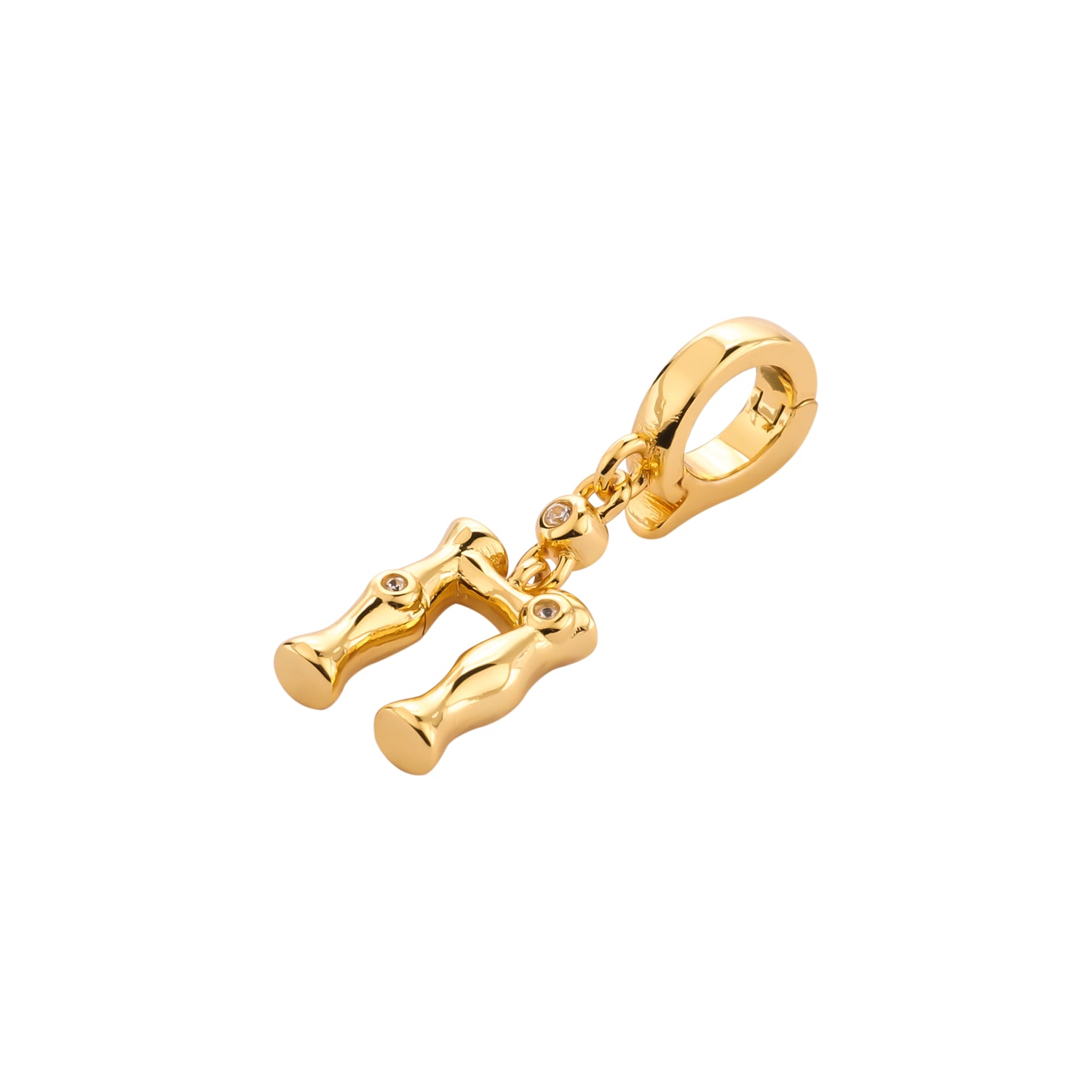 Uruz Runes Charm